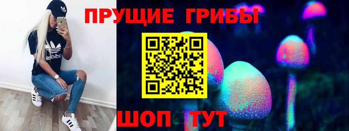 где можно купить   Вход с VPN  Малоярославец  Галлюциногенные грибы мицелий 